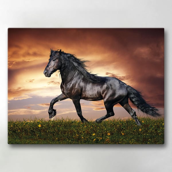 Lærredsbillede / Lærredstryk - Hest - 40x30 cm - Lærred