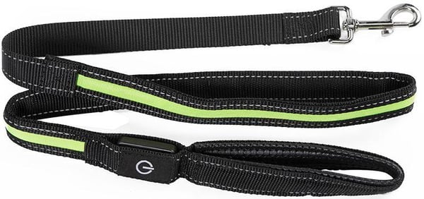 Hundebånd med LED / Bånd for Hund - 175 cm