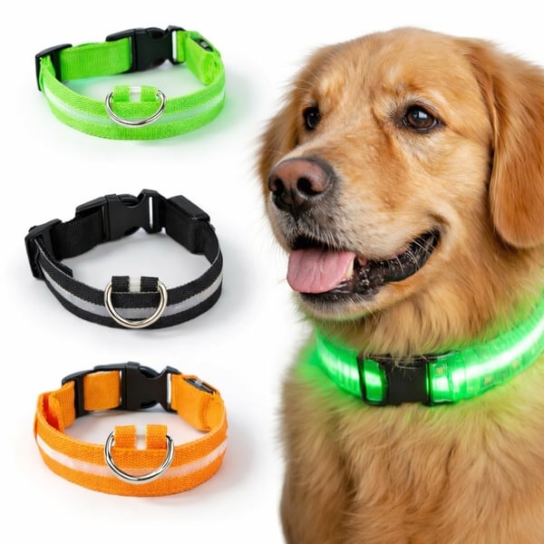 LED Hundehalsbånd Oppladbart / Refleks & Halsbånd til Hund - XS - Orange