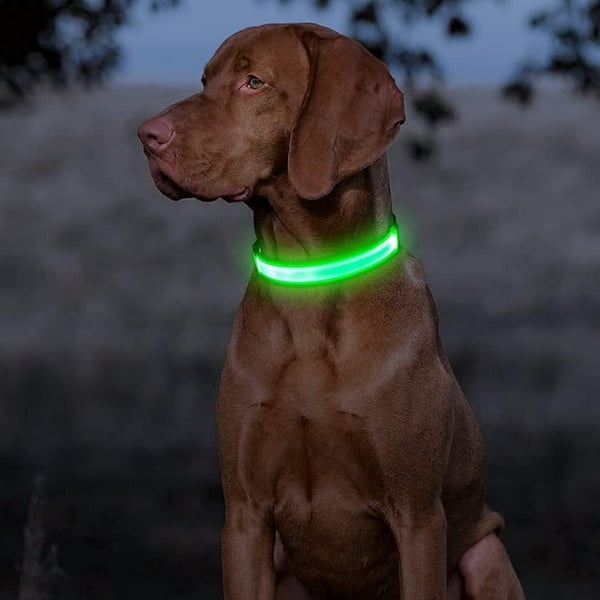 LED Hundehalsbånd Oppladbart / Refleks & Halsbånd til Hund - S - Grön