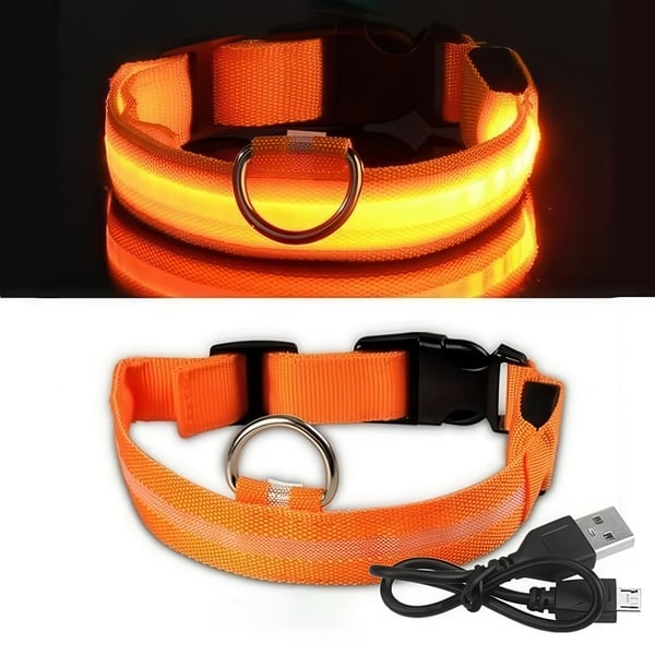 LED Hundehalsbånd Oppladbart / Refleks & Halsbånd til Hund - XL - Orange
