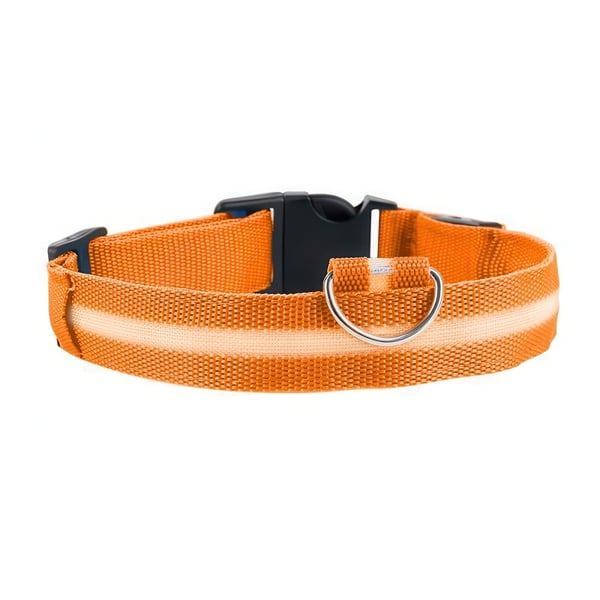 LED Hundehalsbånd Oppladbart / Refleks & Halsbånd til Hund - XL - Orange