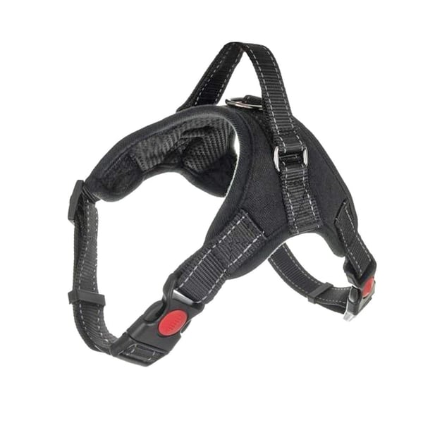 Hundsele / Sele för Hund - Tryckfri | CDON