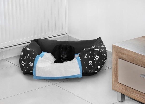 Tisseteppe med Bæsjeposer til Hund / Valpteppe /Hygieneunderlag - 60x60cm - 50-Pack