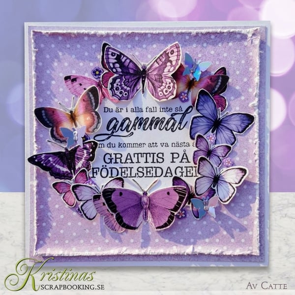Kort och kuvert - Kortstl. 15x15 cm - Vit - 50 set