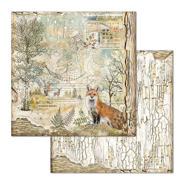 Paper Pad Stamperia - Forest - 12x12 Tum