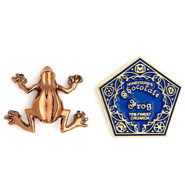 Harry Potter Chocolate Frog pin badge Harry Potter Chocolate Frog pin badge
