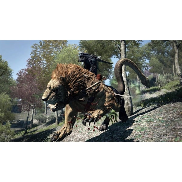 Dragons Dogma Dark Arisen Nintendo Switch