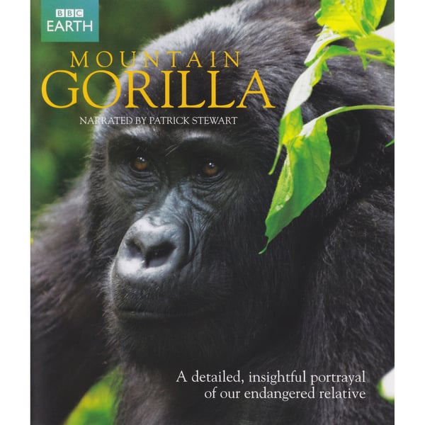Mountain Gorilla Blu-Ray (Begagnad)