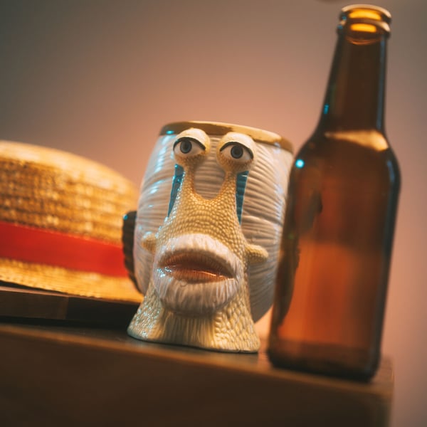 One Piece Den Den Mushi jug 800ml