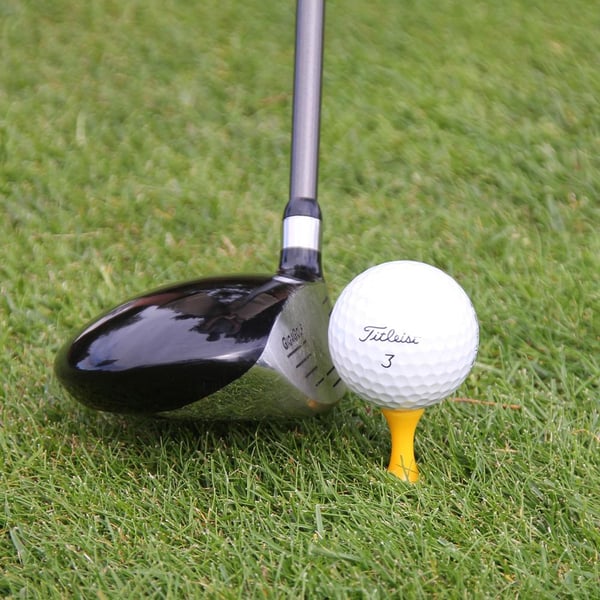 Golfpeggar i plast / Castlepeggar 25 mm (25 st)