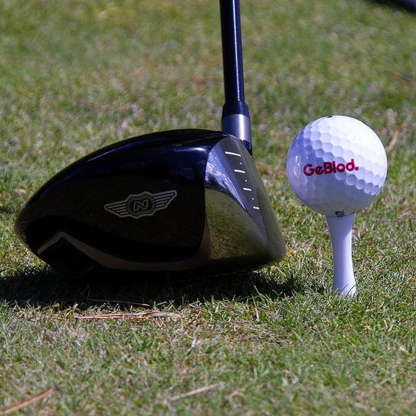 Golfpeggar i plast / Castlepeggar 39 mm (40 st)
