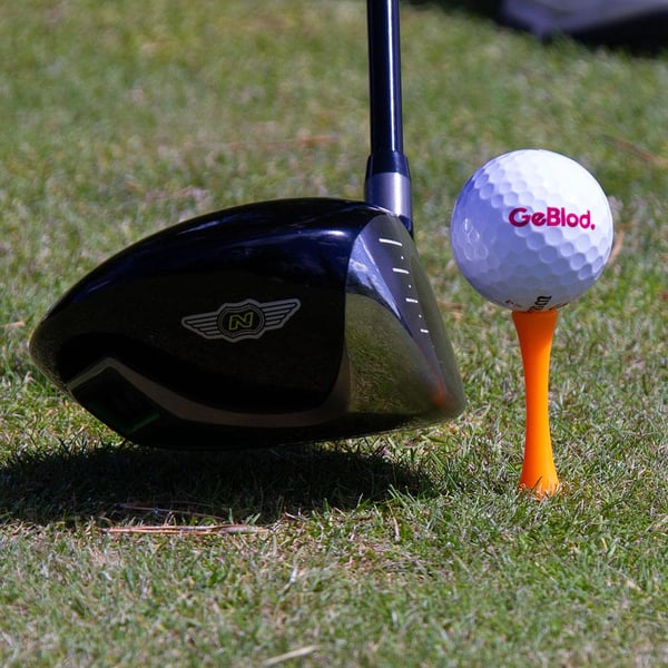 Paket Castle Golfpeggar i plast / Castlepeggar 50 + 5 mm (45 st)