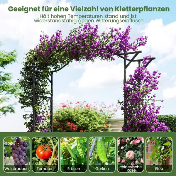 Metalhavebue til klatreplanter, 170x39x210 cm, sort