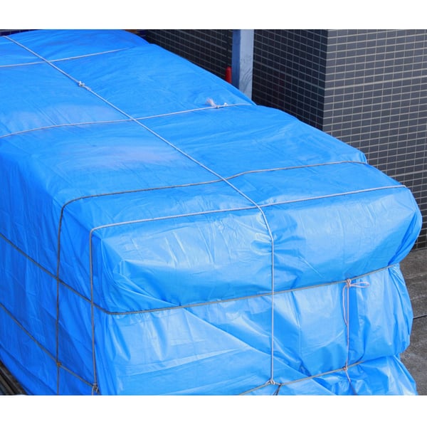 ECD Germany presenningsstof presenning med øjer 4x6m 24m² 260g / m² blå lavet af polyethylen formbestandig vandtæt, rivebestandig beskyttende