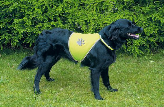 Säkerhetsväst för hunden XS: 22-32 cm