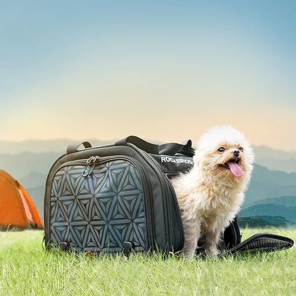 Rockbros Transport Cykeltaske til Katte og Hunde - Sort