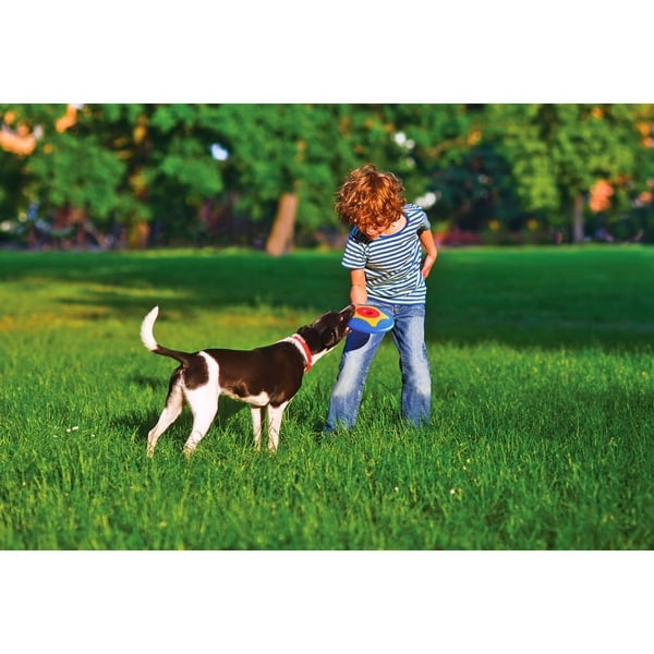 Bama Pet Trotto Disk Hundelegetøj 24,5x4,5 cm Blå/Gul/Rød