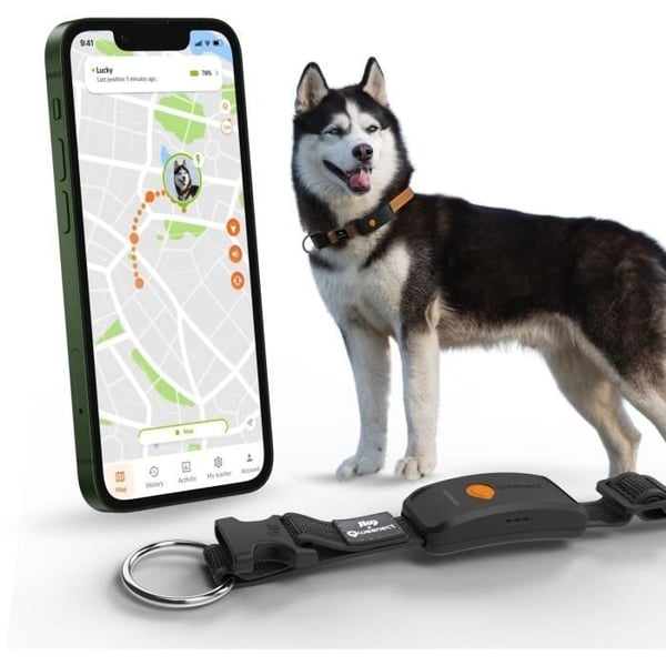 GPS-hundehalsbånd - WEENECT Dog XT - XL-antenne - Vandtæt - Julius-K9 halsbånd - Virker med abonnement - Sort