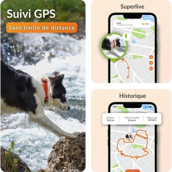 GPS-hundehalsbånd - WEENECT Dog XT - XL-antenne - Vandtæt - Julius-K9 halsbånd - Virker med abonnement - Sort