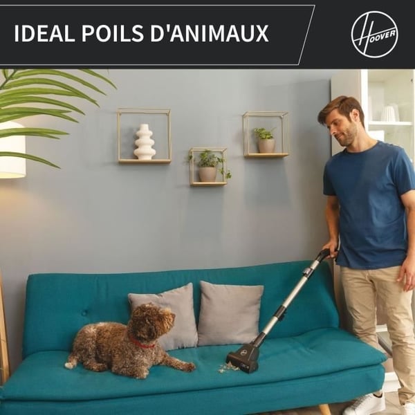 Pölypussiton pölynimuri - HOOVER - HP321PAF - 850 W - 75 dBA - 2 L - Harmaa