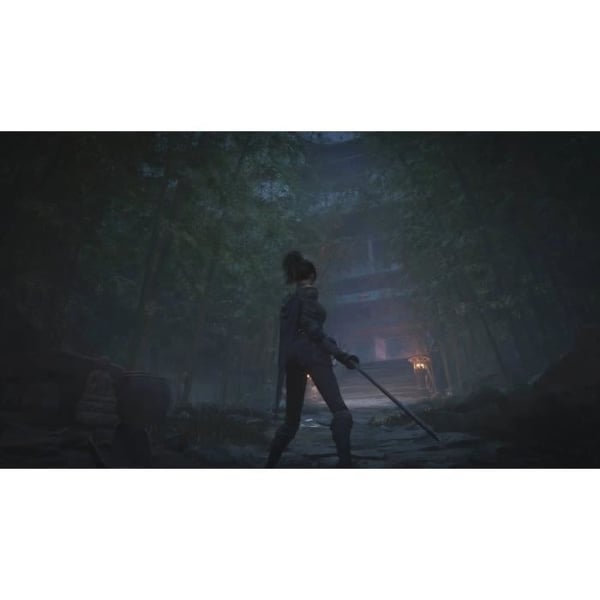 WUCHANG: Fallen Feathers - Day One Edition - PS5-spil