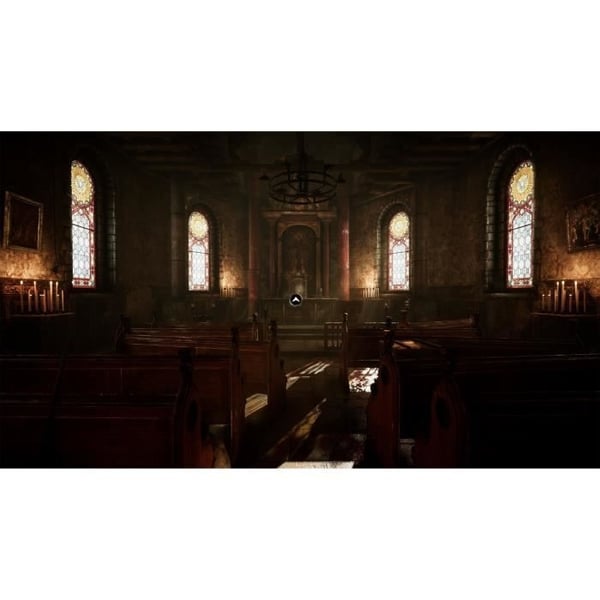 The Amerzone: Udforskerens testamente - PS5-spil