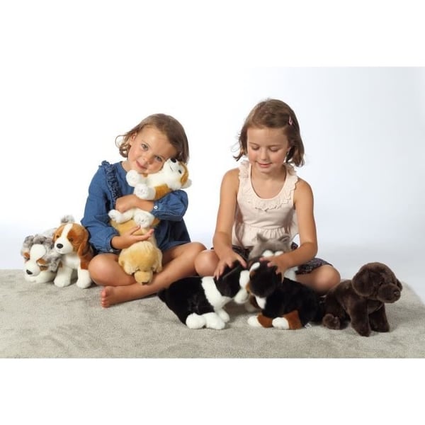 Husky-koirapehmo - GIPSY TOYS - Istuva, 25 cm
