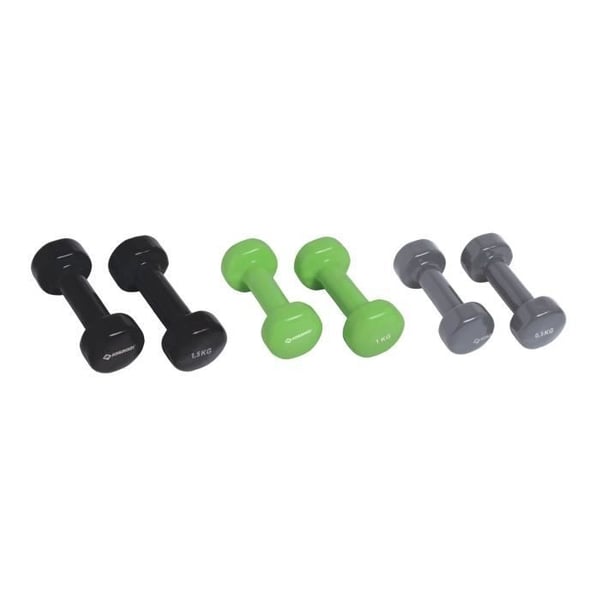 Käsipainosetti - SCHILDKROT - 2 x 0,5 kg antrasiitti - 2 x 1,0 kg limenvihreä - 2 x 1,5 kg musta - valurauta + vinyyli - Matkalaukku kahvalla