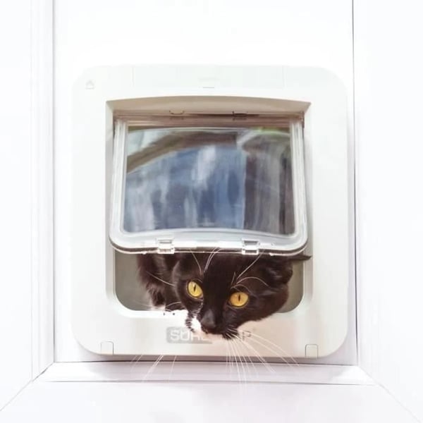 SUREFLAP Stor Kattelem med Mikrochip - Hvid - 178 mm x 170 mm (Leveres uden hub)