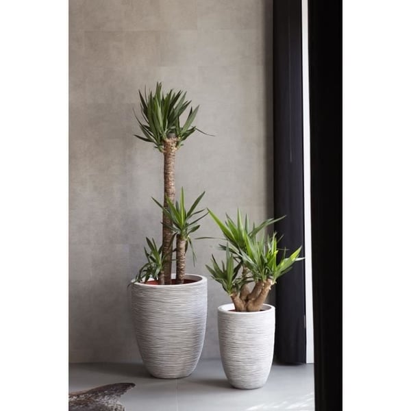 CAPI EUROPE NATURE RIB Urtepotte - 36x47 cm - Elfenben
