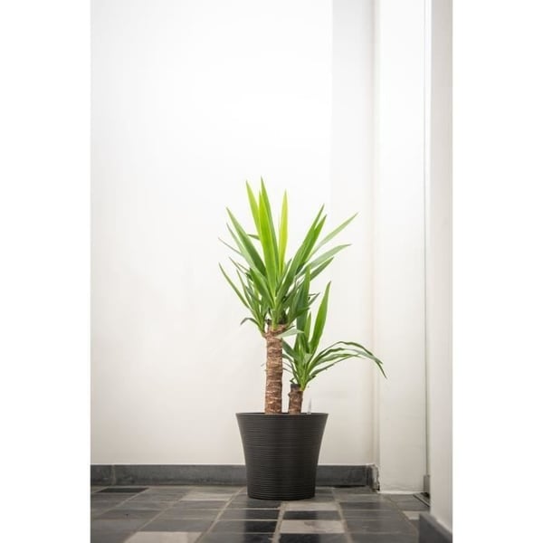 Urtepotte - GARDEN ID - Green Care Sense Sort-Antracit - 30 x 27 cm - 10 års garanti - 100% genanvendt - UV- og frostbestandig