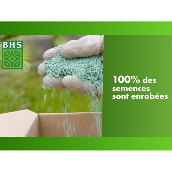 Græs - BHS - Engblanding 5 kg | 500 m² | Til store arealer og græsgange | Hurtig at installere, holdbar, vedligeholdelsesfri.