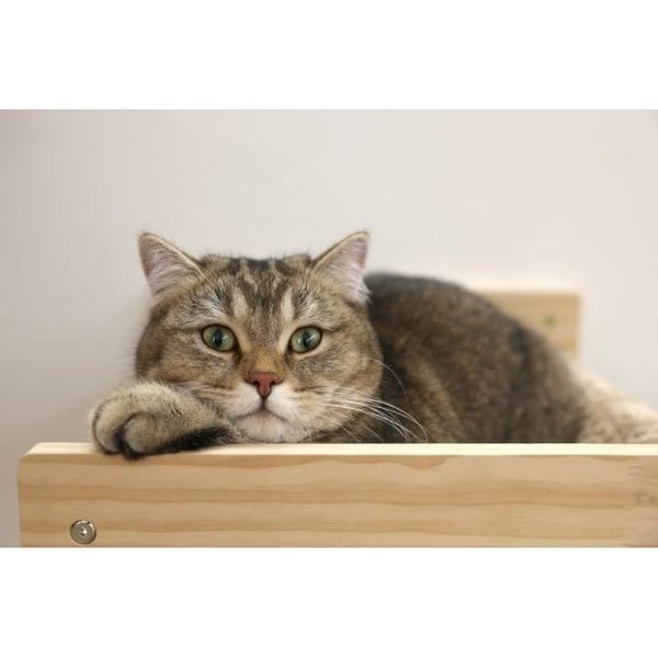 KERBL - Væghængekøje til katte - TIMBER - 38 x 33,5 x 16 cm - Massivt træ - Plysstof