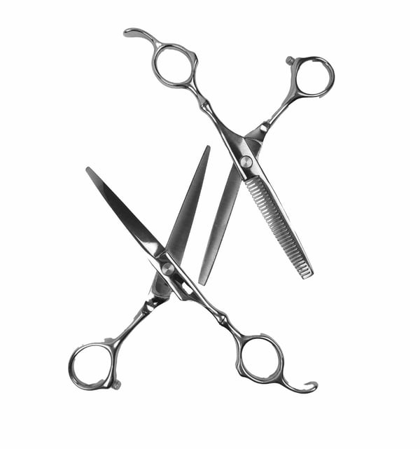 Professional kampaamo ja harvennus sakset deluxe 4 kpl