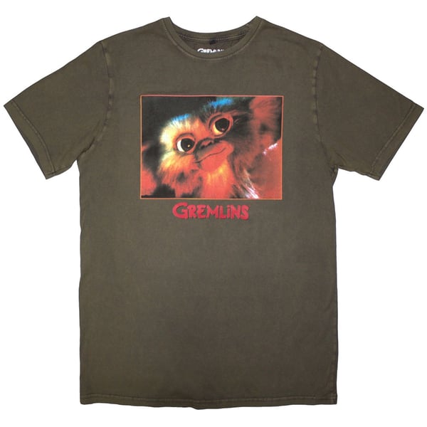 Gremlins Unisex Stone Wash T-Shirt: Gizmo Photo (Green) (XX-Large)