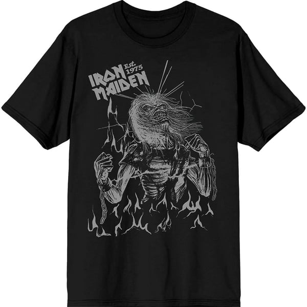 Iron Maiden Unisex T-Shirt: Est. 1975 Life After Death Flames (Black) (Small)