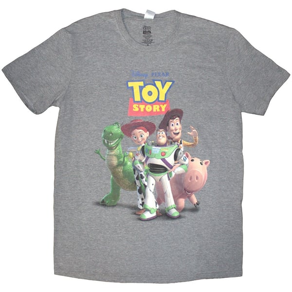 Disney Unisex T-Shirt: Toy Story Characters Distressed (Grey) (X-Large)