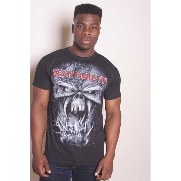 Iron Maiden Unisex T-Shirt: Final Frontier Eddie Vintage (Medium)