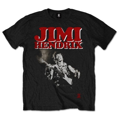 Jimi Hendrix Unisex T-Shirt: Block Logo (Medium)
