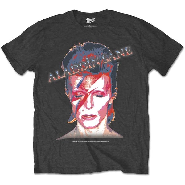 David Bowie Unisex T-Shirt: Aladdin Sane (Medium)