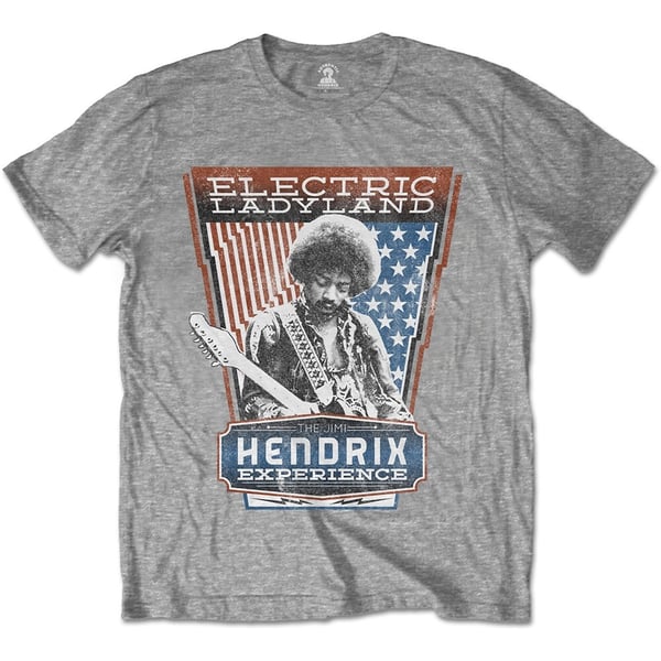 Jimi Hendrix Unisex T-Shirt: Electric Ladyland (Small)