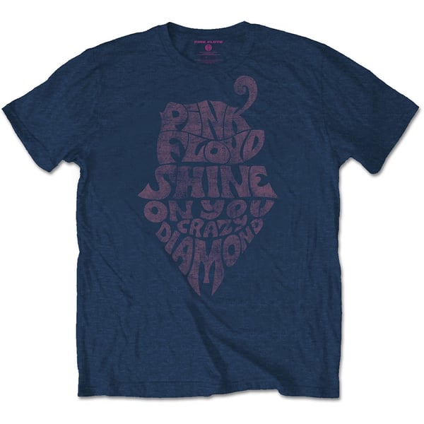 Pink Floyd Unisex T-Shirt: SOYCD Vintage (Medium)