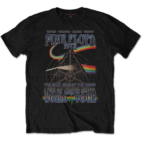Pink Floyd Unisex T-Shirt: Assorted Lunatics (Large)