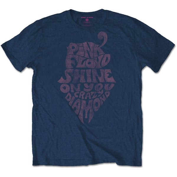 Pink Floyd Unisex T-Shirt: SOYCD Vintage (Large)