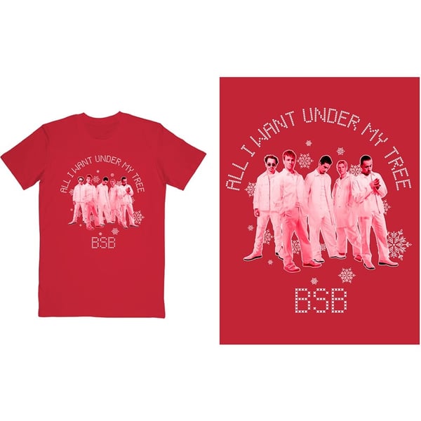 Backstreet Boys Unisex T-Shirt: All I Want Xmas (XX-Large)