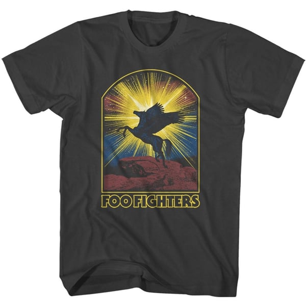 Foo Fighters Unisex T-Shirt: Pegasus (Large)
