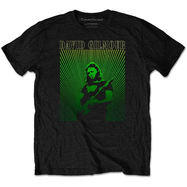 David Gilmour Unisex T-Shirt: Rays Gradient (Large)