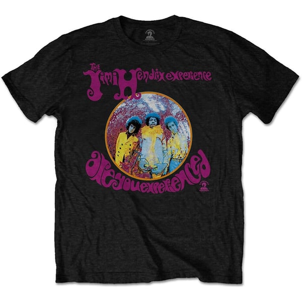 Jimi Hendrix Unisex T-Shirt: Are You Experienced? (Large)