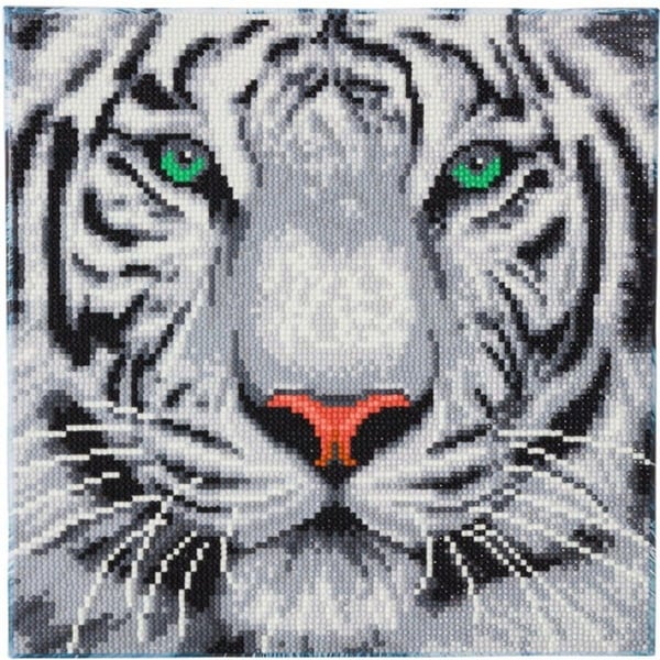 Diamantmalerilærred 30x30 cm, Hvid TIGER